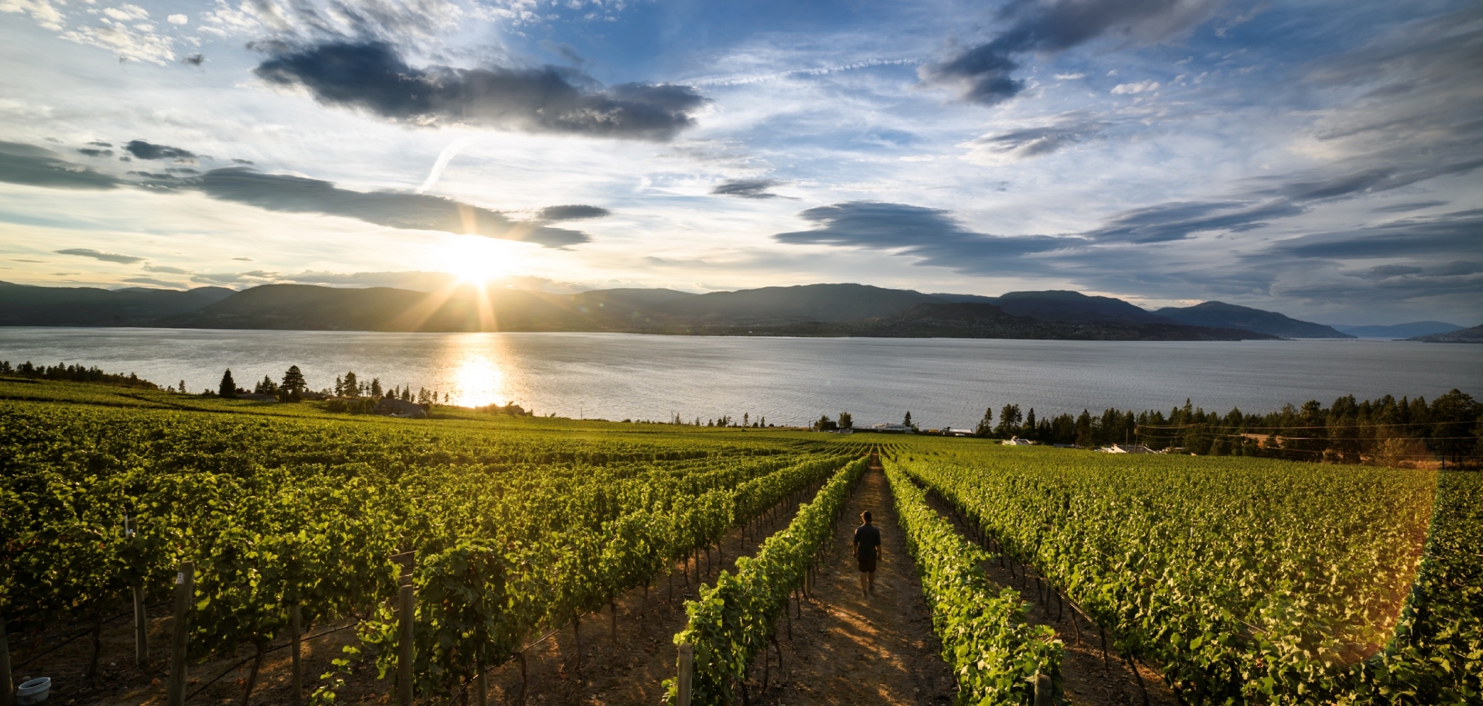 Wineries & Wine Tours in BC Canada
